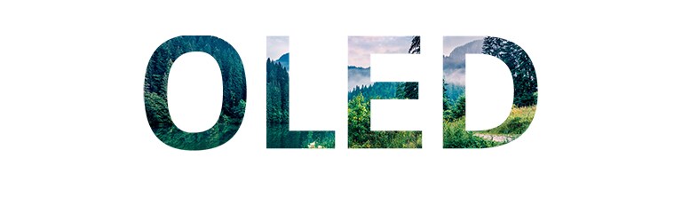 填滿「OLED」的大自然圖像從右側滑入（播放影片）