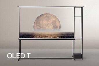 LG SIGNATURE OLED T standing in foyer depicting a background on the transparent screen. 	