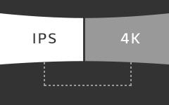 Dual Display Support*1