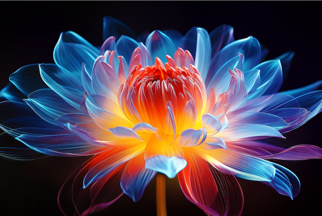 3D holographic flower in many different shades and hues against a black background. The definition and detail of the flower shows off QNED MiniLED's capability to produce visuals with exceptional colour, brightness, and contrast.