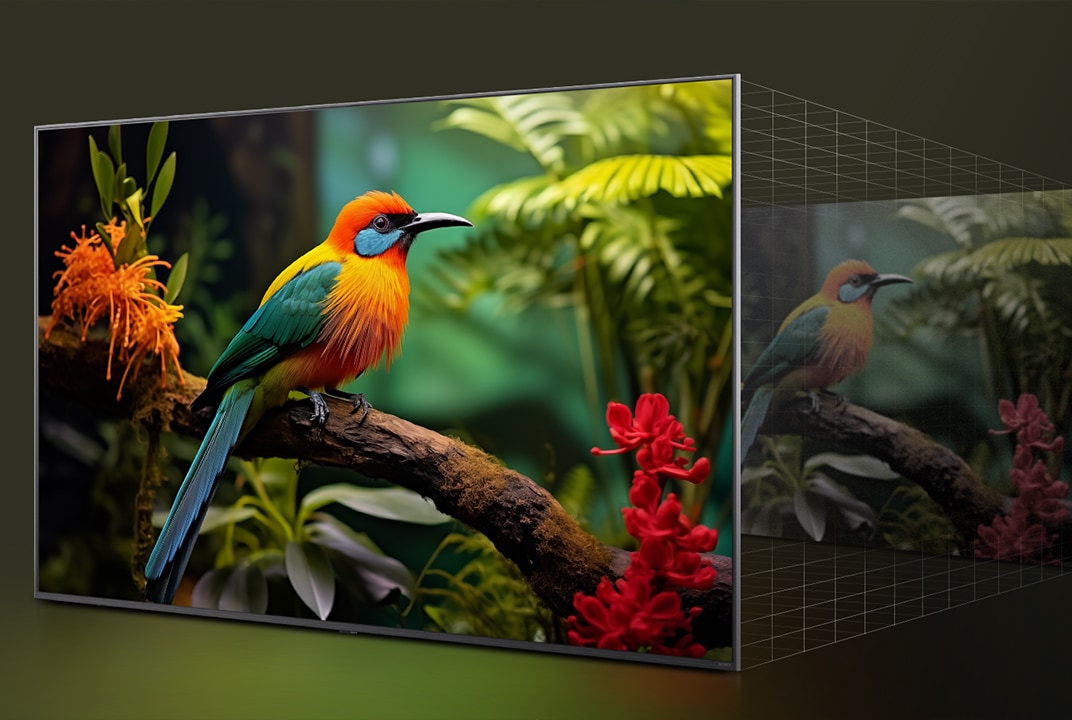 Before and after comparison of how LG 4K Super Upscaling improves image quality. Two panels showing the same image of a colourful bird sitting on a branch in a forest, panel on the right is faded out.