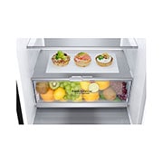 LG Tall Fridge Freezer | 384L | GBB72MCVBN | Matte Black, GBB72MCVBN