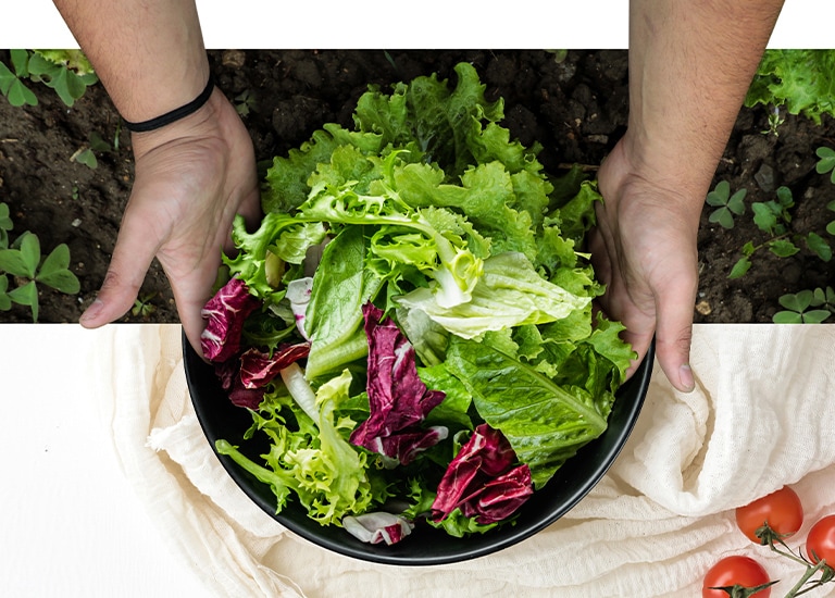 Hands holding a bowl of assorted leafy greens and lettuce over a cloth with tomatoes nearby on the right.