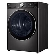 LG 10kg Dual Inverter Heat Pump™ Tumble Dryer, Black Steel, FDV1110B