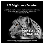 brighness booster