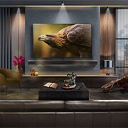 LG 55 inch LG OLED evo AI G4 4K Smart TV 2024 - Stand version, OLED55G46LS