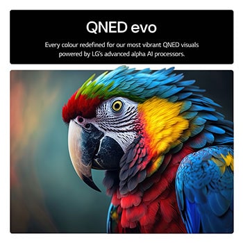 Parrot on a tree branch in vivid color. The title talks about how LG Al Picture Pro made impressive visual enhancements to the scene's resolution, brightness, depth, and clarity.