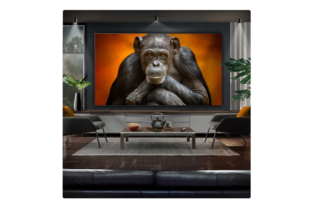 Campfire at night in the middle of nature. In the distance is a forest and lake. The evening sky is filled with stars. The whole scene is split in half. One side is darker and duller. The other half is remarkably brighter, showcasing the impressive brilliance from Brightness Booster. 