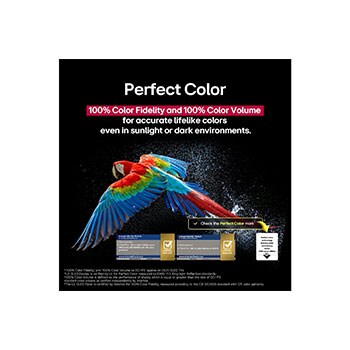 Dazzling and vibrantly colorful fireworks are on a TV screen. This demonstrates 100% Color Fidelity which shows accurate colors even in sunlight.  Logo certification is visible, Perfect Color Technology delivers color consistency levels greater than 99% up to 500 lux. Intertek certifications that show independent testing are also beside it.