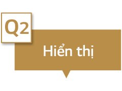 Màn hình hiển thị &quot;Hiển thị&quot; trong hộp văn bản.