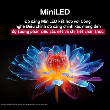 Bông hoa ba chiều 3D với nhiều màu và sắc thái khác nhau trên nền đen. Định nghĩa và chi tiết của bông hoa thể hiện khả năng tạo ra hình ảnh với màu sắc, độ sáng và độ tương phản vượt trội của QNED MiniLED. Tiêu đề nói về cách MiniLED tăng cường độ rõ nét và mang lại độ tương phản vượt trội.