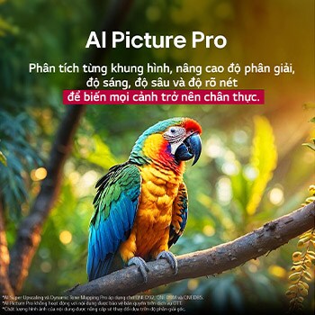 Con vẹt đậu trên cành cây có màu sắc sống động. Tiêu đề nói về những cải thiện ấn tượng của LG Al Picture Pro với hình ảnh về độ phân giải, độ sáng, độ sâu và độ rõ nét của cảnh.