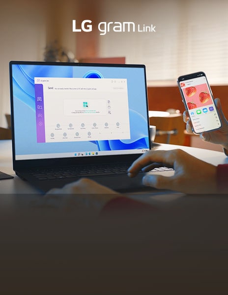 Kết nối mọi thứ bạn cần – LG gram Link
