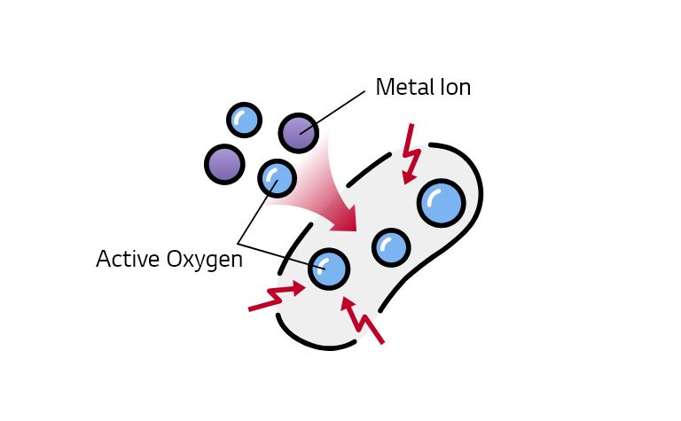 Oxidative Stress