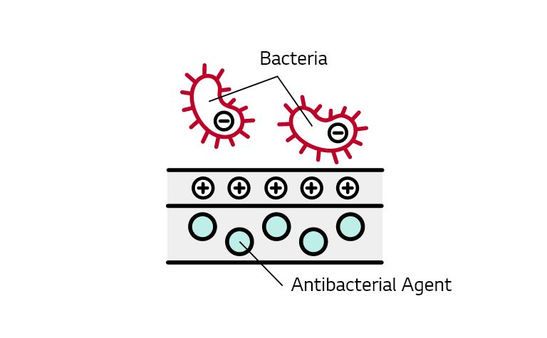Cell Attraction