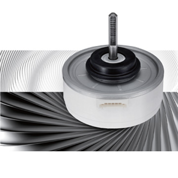 Fan Motor