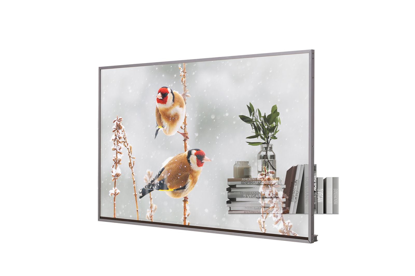 LG Transparent OLED, 55EW5P-M