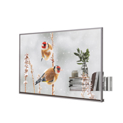 LG Transparent OLED, 55EW5P-M