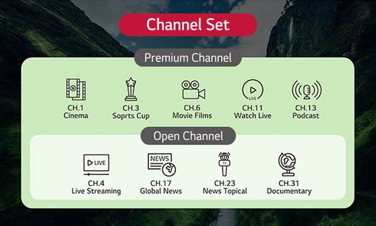 TV channels provided by the solution can be categorized into groups based on their types. This includes setting up both standard TV channels and additional channels exclusive to premium customers.