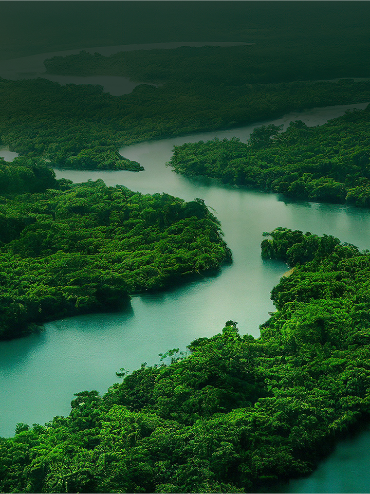 Aerial view of forest and river with text overlay Better Life for All promoting sustainability
