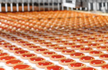 Food and beverage factory production line with bottles