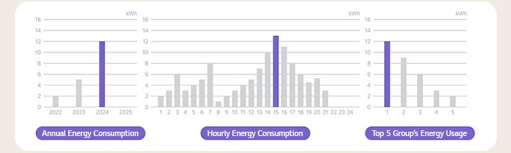 Annual Energy Consumption, Hourly Energy Consumption, Top 5 Group’s Energy Usage