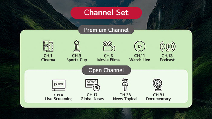 TV channels provided by the solution can be categorized into groups based on their types. This includes setting up both standard TV channels and additional channels exclusive to premium customers.