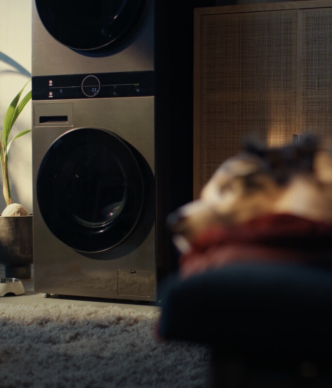 A dog sleeping comfortably in the front of the LG Washtower with DirectDrive technology.