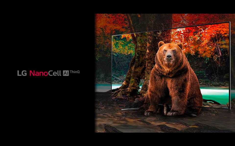 lg-magazine-what-is-nanocell-tv-main.jpg