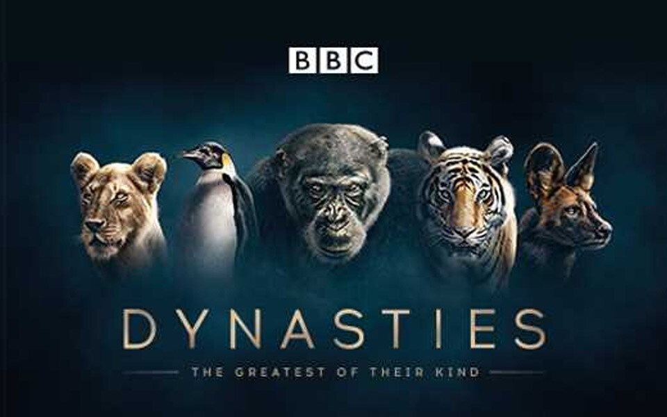 lg-magazine_bbc_dynasties.jpg