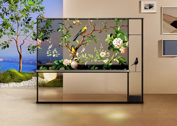 Images of birds, flowers and trees float across the LG OLED T's transparent screen, merging the screen with nature outside.