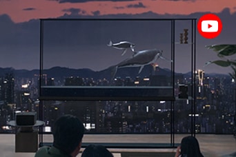 In front of a window showing a night view, a transparent television displays a whale.