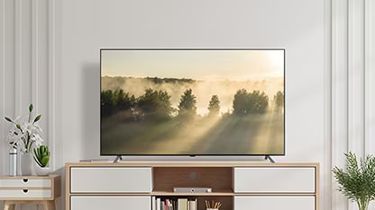 LG OLED A2 is in a bright white room with wooden details and greenery