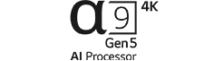 a9 gen5 4K AI Processor logo