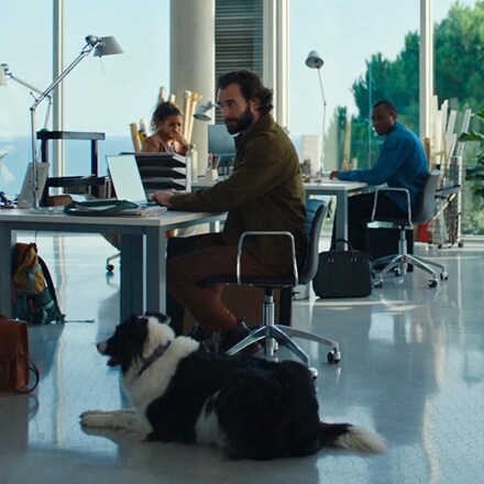 A man and his dog are seated at a desk in an office, creating a warm and inviting workspace atmosphere.