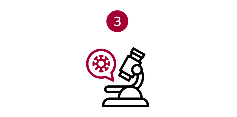 Material Development