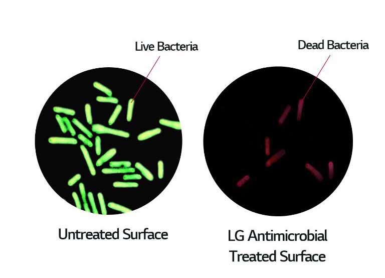 Antimicrobial Protection