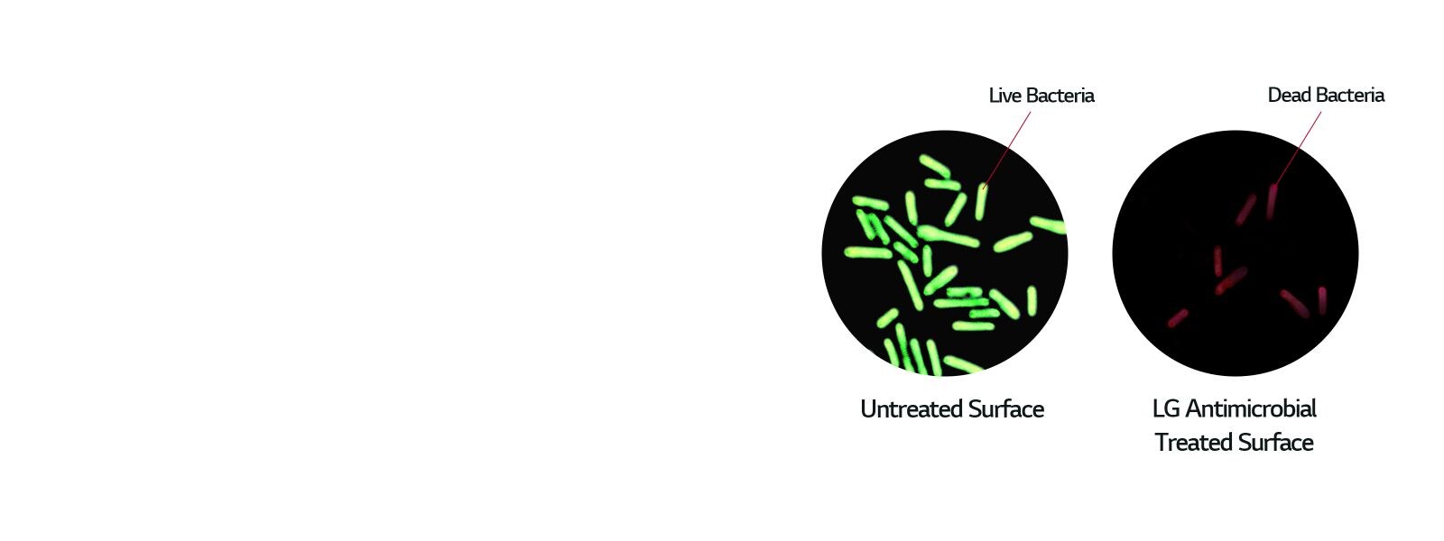 Antimicrobial Protection